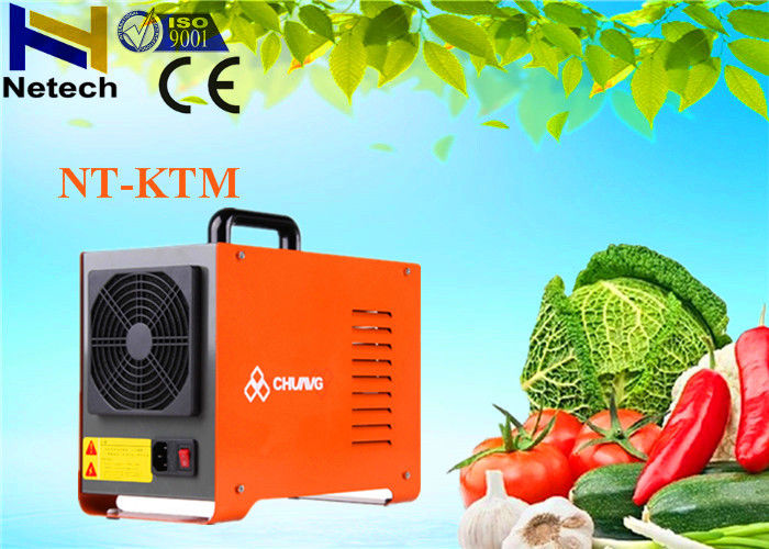 5g Food Ozone Generator For Refrigerator Keeping Meat Fresh 110V O3 Generator Food Washing