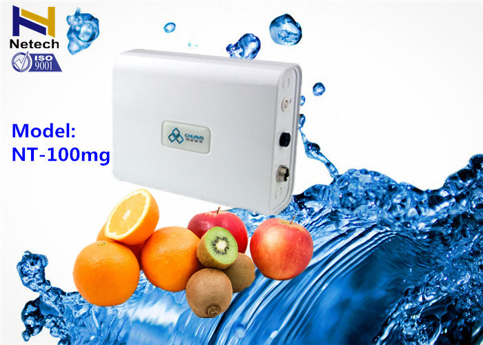 100mg Fruit Vegetable Odor Free Ozone Generator 110V Water Air Sterilizer Ozonizer