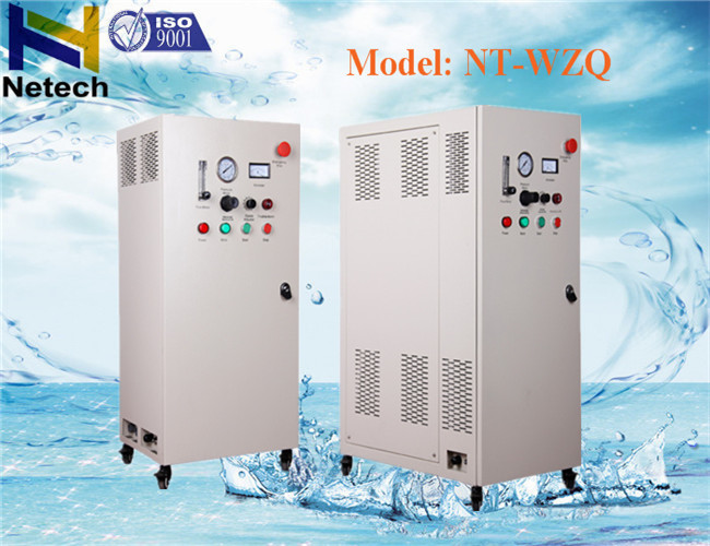 10g 60g Feed Oxygen Ozone Generator For Washing Car Industrial Water