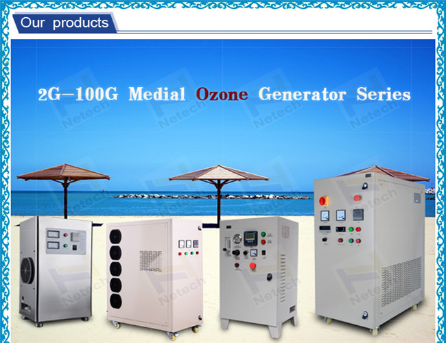 110v Industrial Ozone Generator For Drinking / Mineral Water Treatment ...