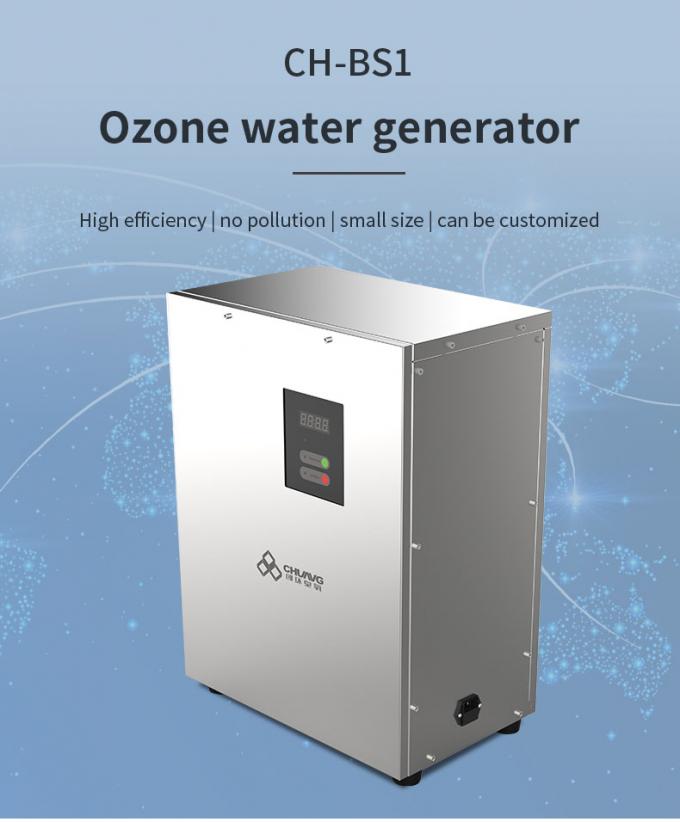 1 5ppm Ozone Water Machine For Food Processing Water Disinfection