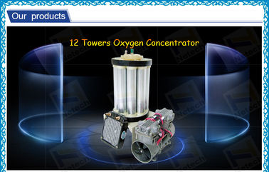 High concentration Twelve Tower  Molecular Sieve 5LPM Oxygen Concentration