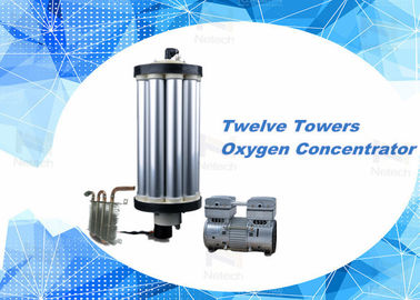3L - 15L PSA Oxygen Concentrator Parts Oxygen Sieve For Aquaculture