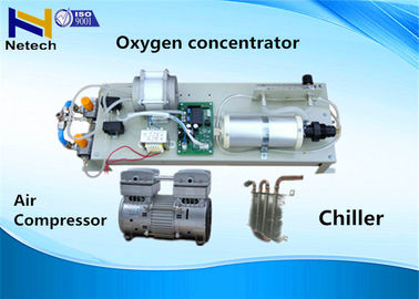 3l 5l 8l Oxygen Concentrator Parts With Air Compressor , Chiller For O3 Machine