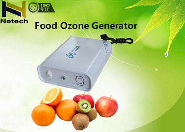 Multifunctional Food Odor Free Ozone Generator 100mg Home Freezer Sterilizing Ozonator