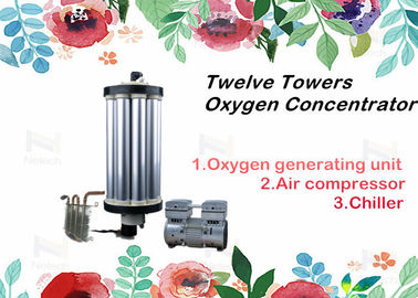Twelve Towers PSA Oxygen Concentrator Parts Gas Equipments Type Repair 3 - 15L