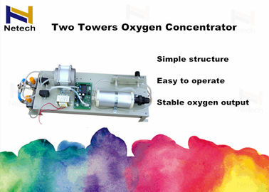 Low pressure 3L 5L 8L 10L Oxygen Concentrator Parts Two Towers For Feeding ISO
