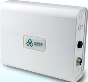 Mini Portable Small 100mg Hotel Ozone Generator For Small Room clean