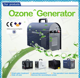 Professional Household Ultrapure Ozone Generator , car ozone machine / equipment