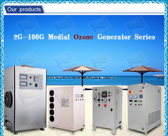 Commercial Ozone Generator water purifier 