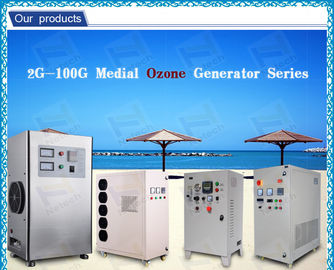 Automatic air dryer Ceramic Ozone Generator Water Purification For Fruits