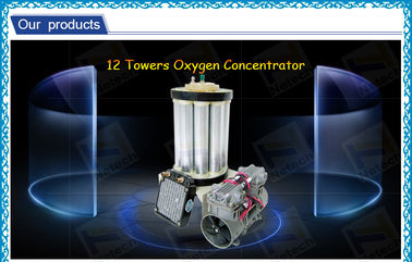 Ultrapure Molecular Sieve O2 Generator PSA Twelve Tower For Home Use