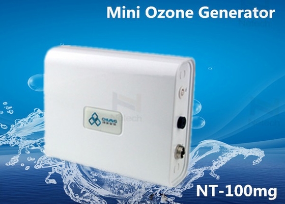 While Mini 100mg Commercial Ozone Generator For Remove Smoke / Air Purifier 9W