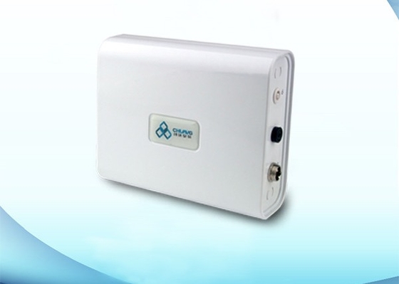 110V 220V 100mg Mini Ozone Generator Ozone Machine For Car Air Purifier