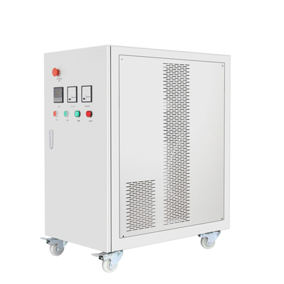 10g/Hr 300g/Hr Output Ozone Generator For Food Water Treatment