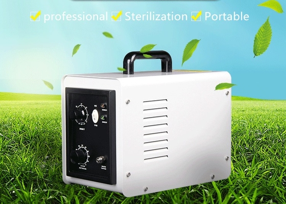 3g/h - 5g/h Ozone Generator Water Purification Corona Discharge O3 Water Generator