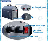 Corona Discharge Commercial Ozone Generator For Water Treatment And cleanion