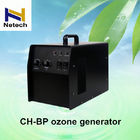 Black Ozone Generator Water Treatment Car Ozone Generator 70 - 110W