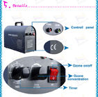 3g/Hr To 7g/Hr Ozone Air Purifier For Restaurant Kitchen Toilet 110V 60hz