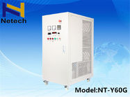60g / H Swimming Pool Ozone Generator Adjustable 220v Ozone Machine Water cleanr