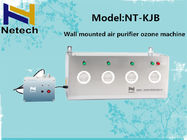 6g / H Wall Mounted O3 Ozone Generator Industrial Air Cleaning / Air Purifier