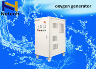 PSA 10LPM 20LPM Oxygen Generator / Oxygen Machine O2 concentrator