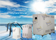 300g 500g 1000g Industrial Large Ozone Generator In Wastewater Treatment 380V