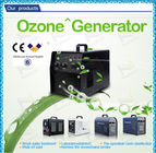 Black Dor Water Household Ozone Generator Automatic Electric O3 Generator CE