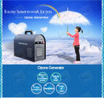 High concentration Ozone Generator 5g Air cleanr With Ceramic ozone tube