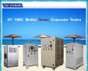 5g Air Cooling Large Ceramic Ozone Generator , 220V Steel Shell ozone machine 