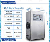 10g/Hr High Purification Ozone Generator For Food Processing Water Treatment