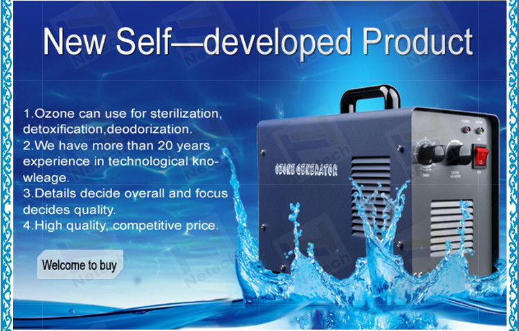 110V / 220V Adjustable Hotel Ozone Machine 3G/H For Water Purification