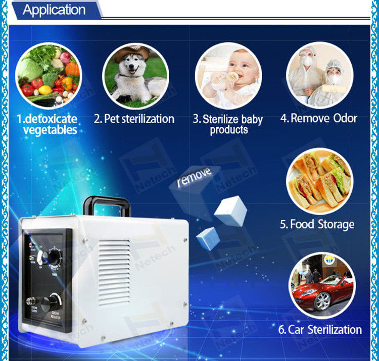 3g 5g 110V Ozone Water Purifier / Ozone Generator Water Treatment​