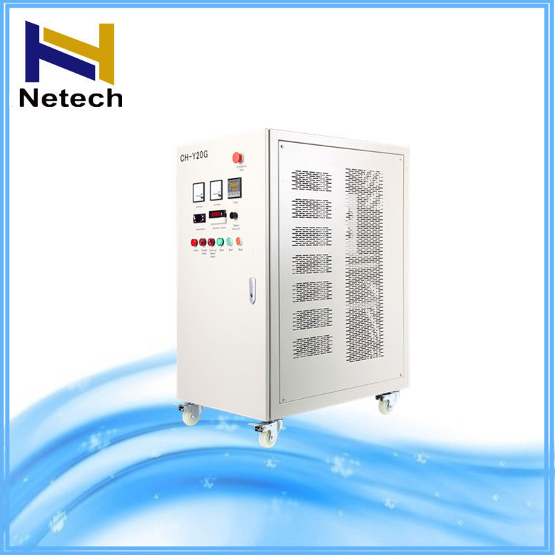 40g 100g Water Ozonator / High Output Ozone Generator For Swimming Pool