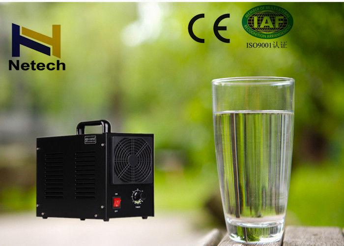 220V 50Hz Household Ozone Generator , Water Ozone Generator for Water Purifier / Fruit Washing