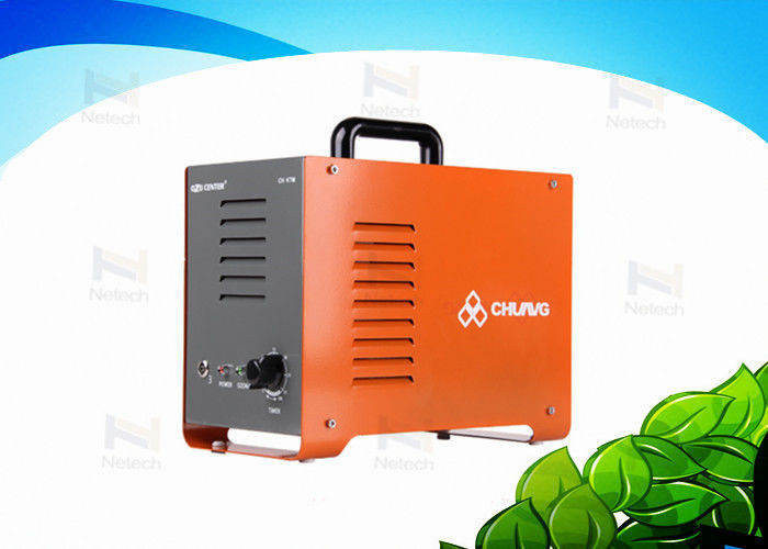 Ceramic Cell 10 LPM Portable Aquaculture Ozone Generator For Water Treatment