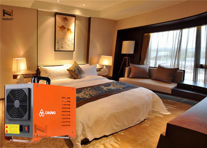 110V 220V Hotel Ozone Machine , Generator Air Purifier for Room / Restaurant