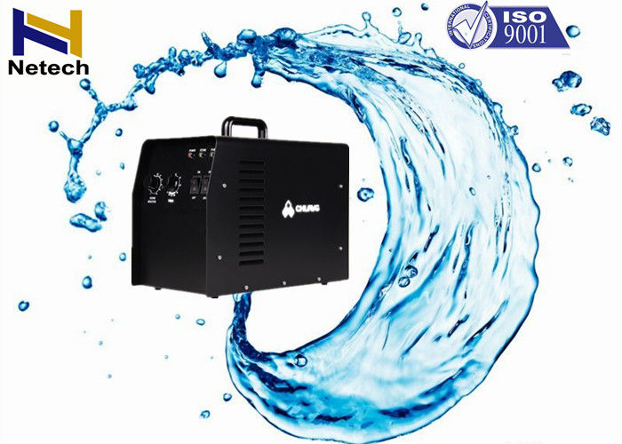 110V / 60Hz Corona Discharge Ozone Generator Water Purification O3 Drinking Water Plant