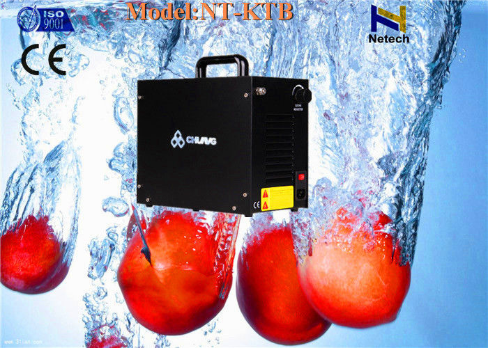 110V Portable Installation Food Ozone Generator For Kitchen 3g 5g Odor Removal