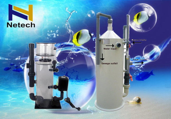 Sea Water Fish Protein Aquaculture Ozone Generator For RAS Aquaculture Recirculating System