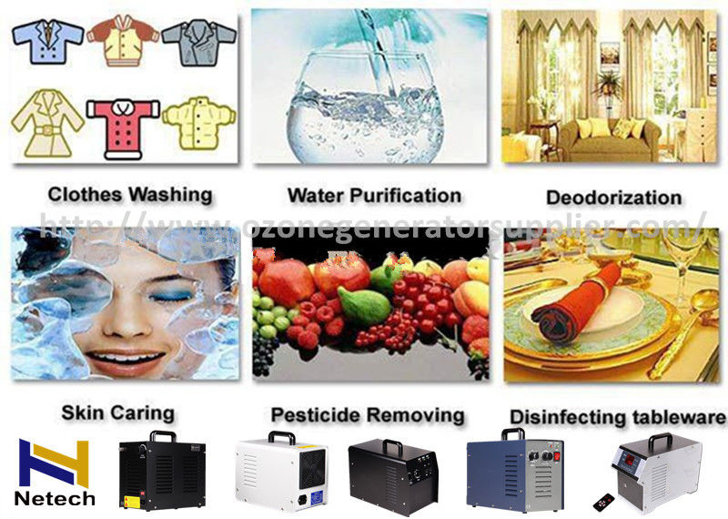 Netech Water Food Ozone Generators Corona Discharge For Cleaning Home