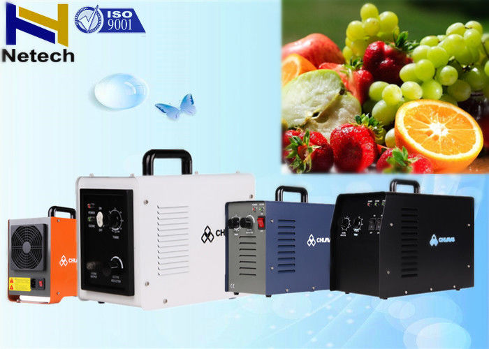 110V Portable Installation Food Ozone Generator For Kitchen 3g 5g Odor Removal