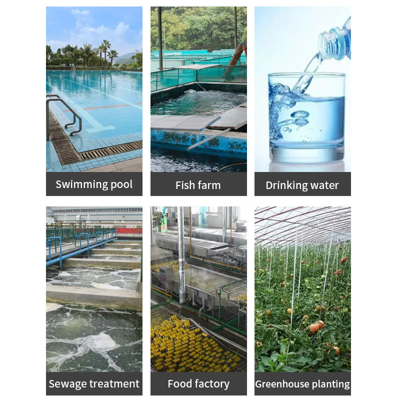 100G Industrial Ozone Generator RAS Fish Farming Waste Water Treatment
