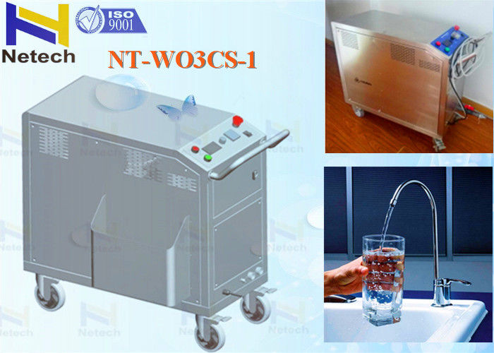 220V Water Treatment Ozone Generator Machine For Beverage Industry 4ppm
