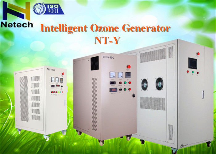 50g O2 Fed Industrial Ozone Generator For Food Plant cleanr And cleanion