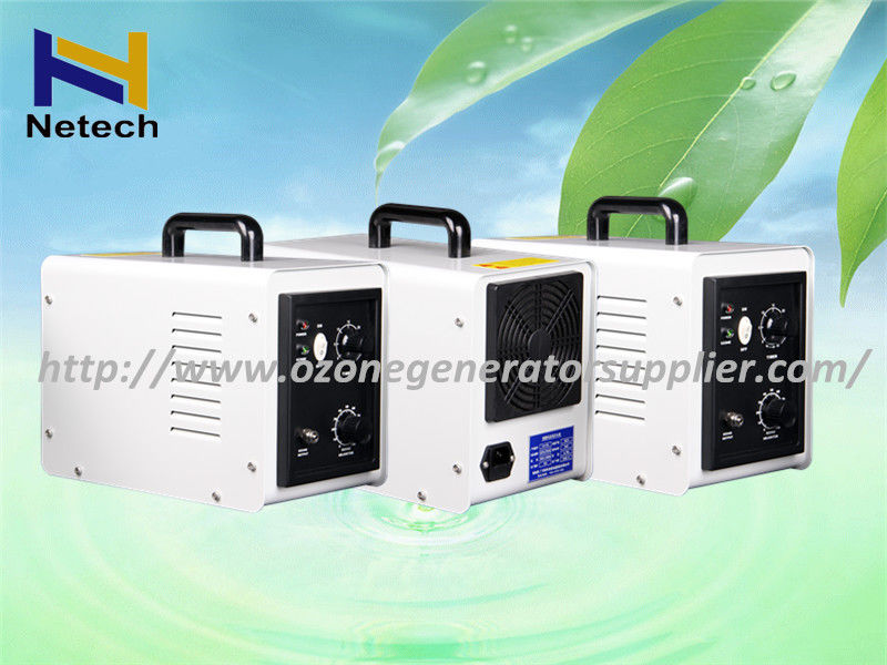 3g 5g 110 Voltage Water Ozone Generator For Kitchen Vegetables / Fruits Washing