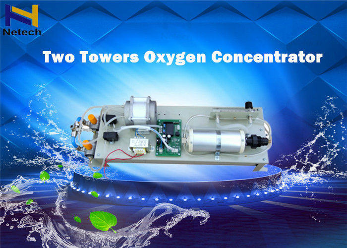 PSA Oxygen Concentrator Parts 3L 5L 8L 10 LPM With Chiller / Air Compressors