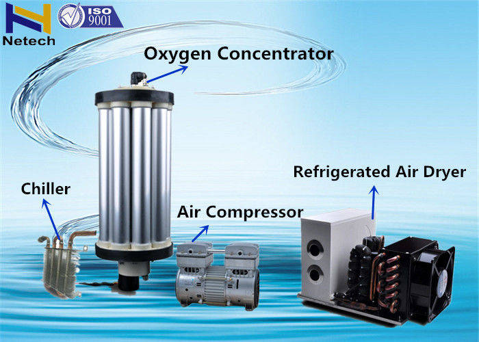 Fish Farming Portable Oxygen Machines For RAS Aquaculture System 5L 10L 15L 20L