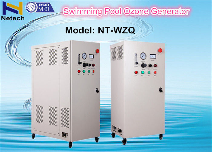 10g - 60g 110V Swimming Pool Ozone Generator Feed Oxygen Ozone Water cleanr