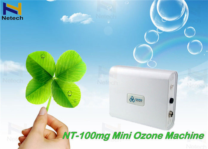 100Mg Small Ozone Generator Machine For Food / Fruit Treatment clean